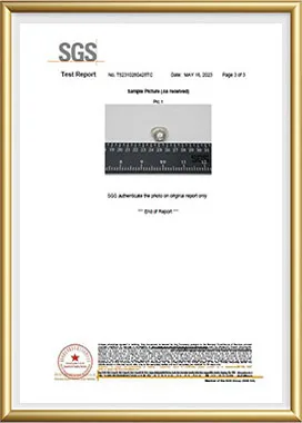 Certificate 6