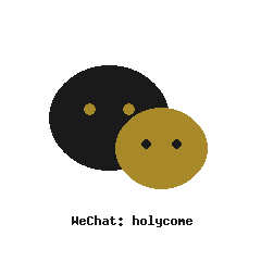 Holycome Jewelry WeChat
